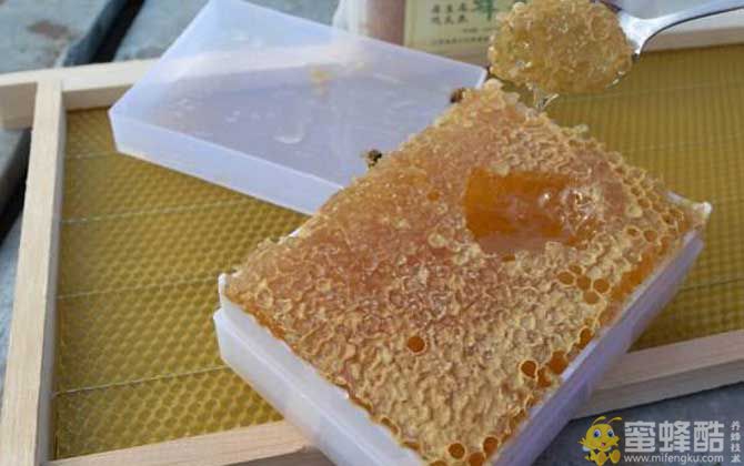 蜂巢蜜的功效与作用及食用方法(图2)